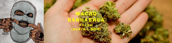мет Дмитров