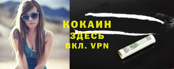 тгк Дмитровск