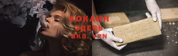 тгк Ельня