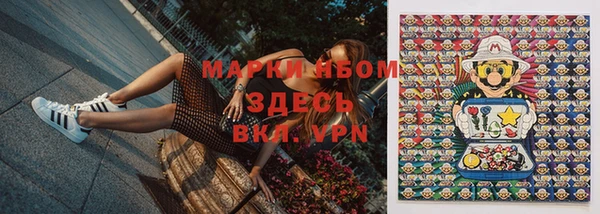 мяу мяу мука Елизово
