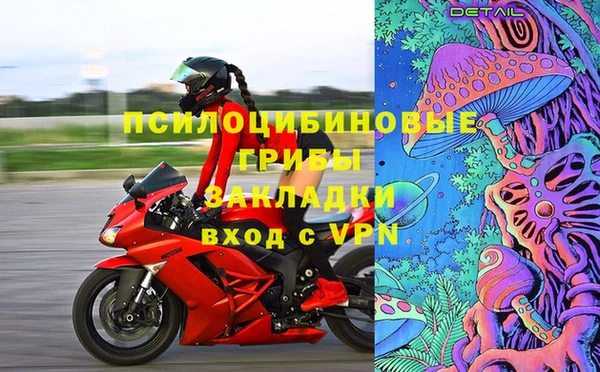 шишки Дмитриев
