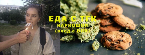шишки Дмитриев