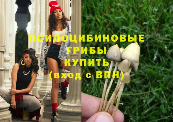 шишки Дмитриев