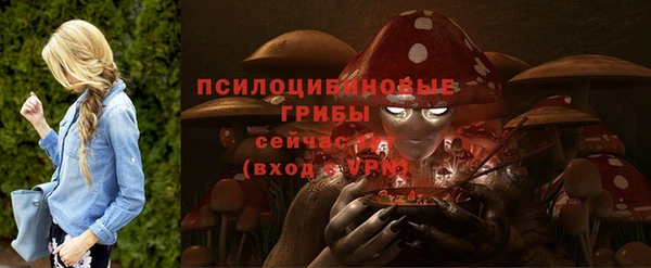 мет Дмитров