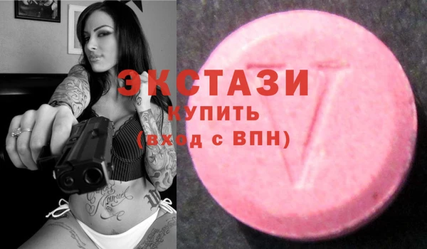 тгк Ельня