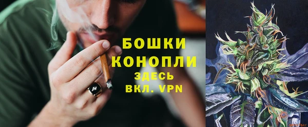 шишки Дмитриев