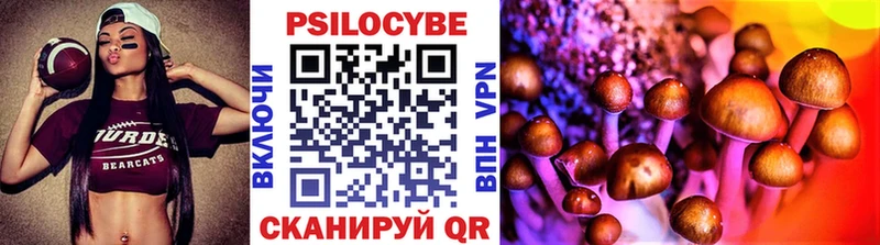 Псилоцибиновые грибы MAGIC MUSHROOMS  наркотики  Отрадная 